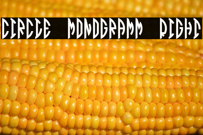 Circle Monogramm Right Example 1