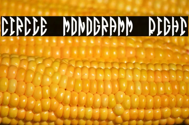 Circle Monogramm Right Example 1