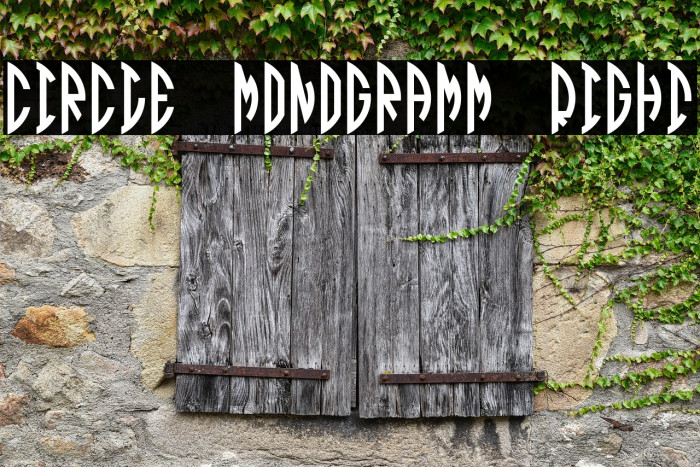 Circle Monogramm Right Example 2