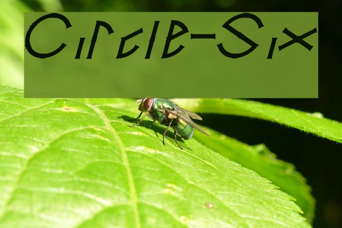 Circle-Six Font examples