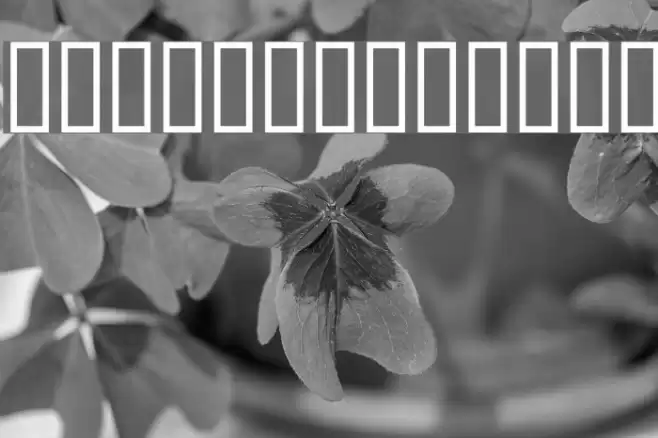 Circle black&white Шрифта examples