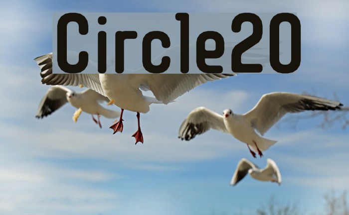 Circle20 Fuentes examples