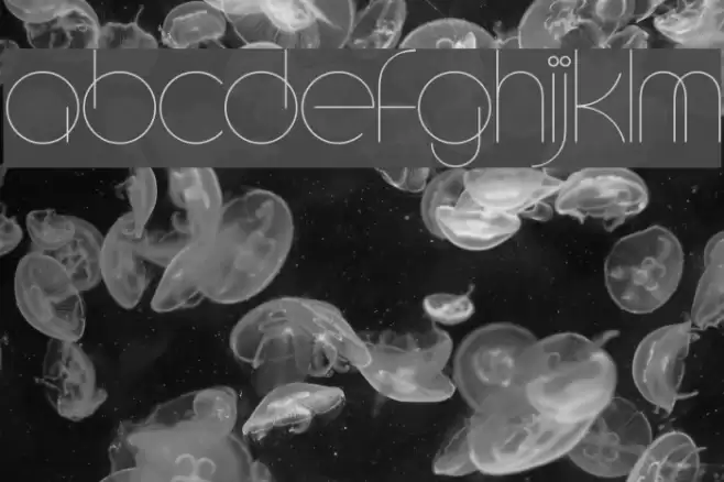 CircleD Font examples