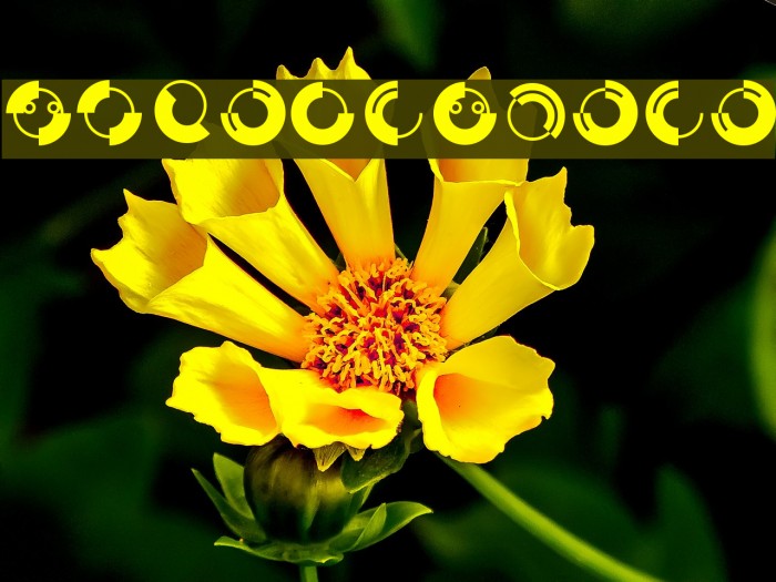 CircleFaces Font examples