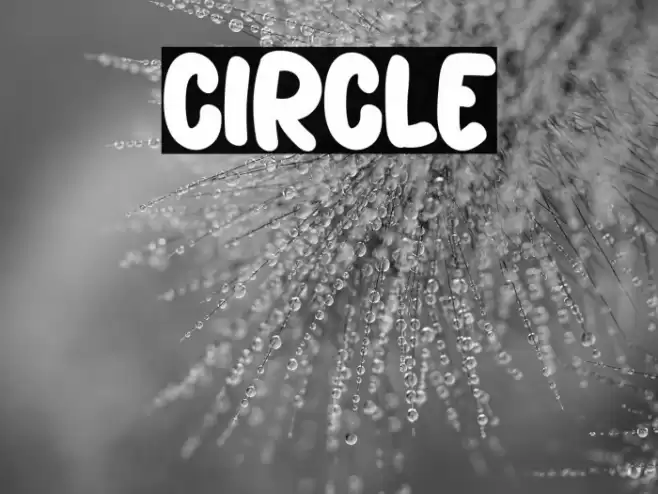Circle خط examples