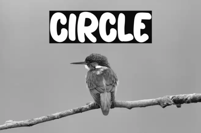 Circle خط examples