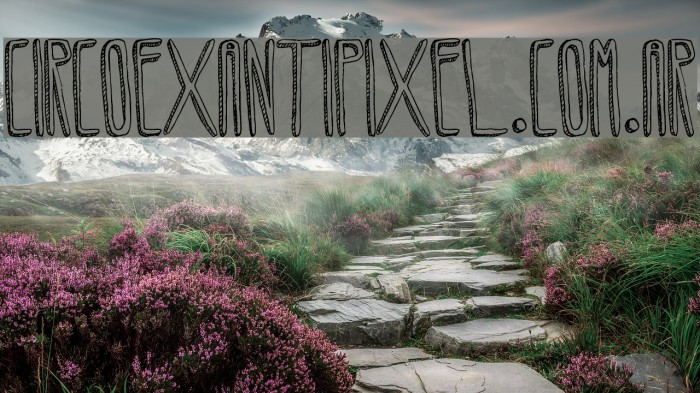 CircoexANTIPIXEL.com.ar Font examples