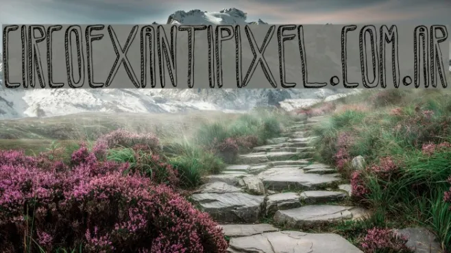 CircoexANTIPIXEL.com.ar Example 1