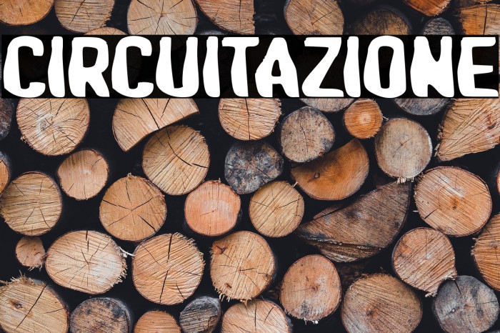 Circuitazione Example 1