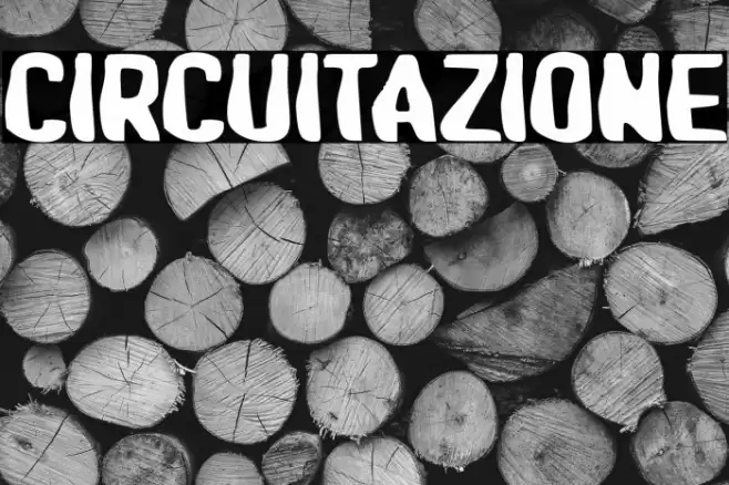 Circuitazione Polices examples