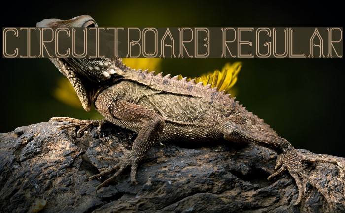 Circuitboard Regular Example 2