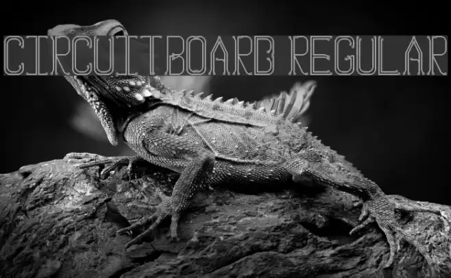 Circuitboard Regular Font examples
