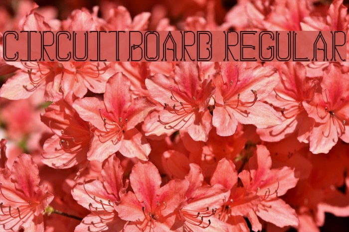 Circuitboard Regular Example 3