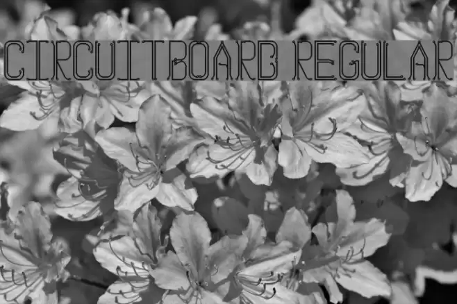Circuitboard Regular Font examples