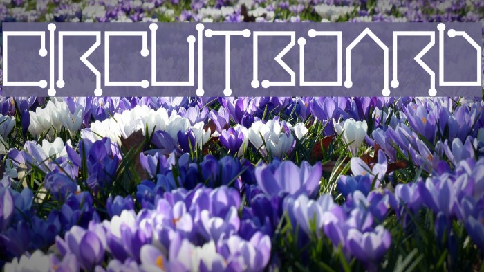 Circuitboard Example 2