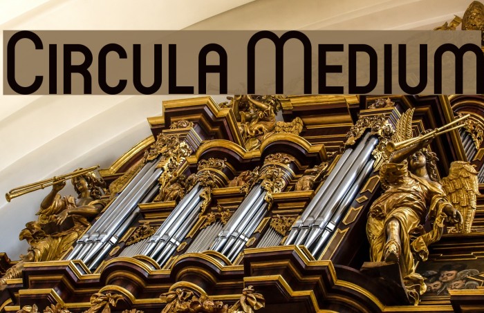 Circula Medium Font examples