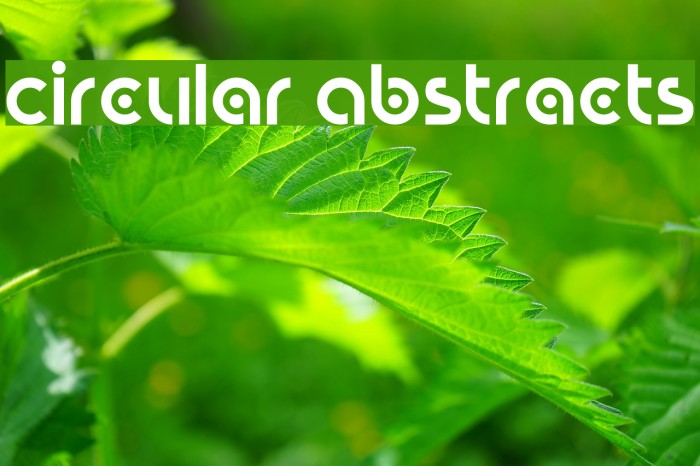 Circular Abstracts Font examples