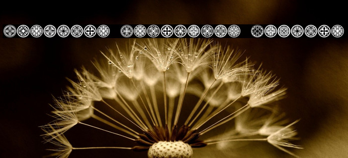 Circular Ornaments Regular Caratteri examples