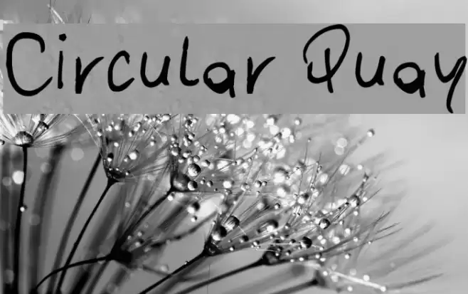 Circular Quay Font examples