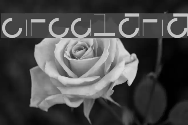 Circularia Font examples