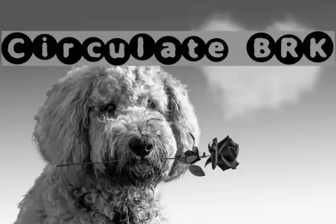 Circulate [BRK] Polices examples
