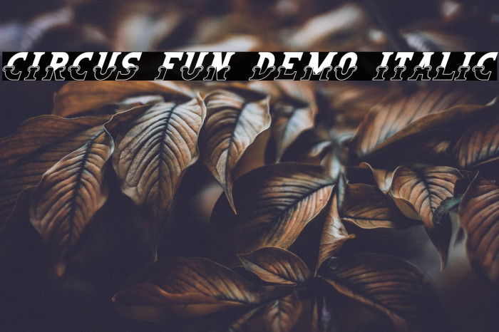 Circus Fun Demo Italic Example 3