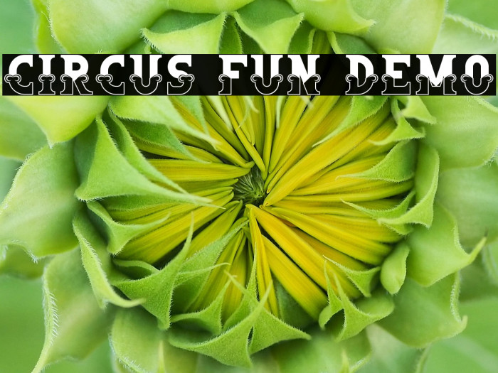 Circus Fun Demo Example 1