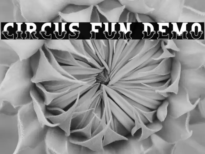 Circus Fun Demo Schriftart examples