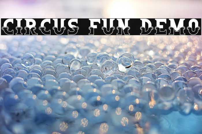 Circus Fun Demo Example 3