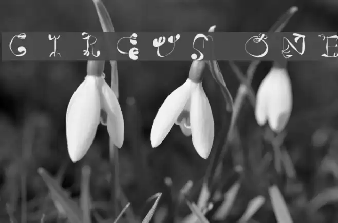 Circus One Font examples