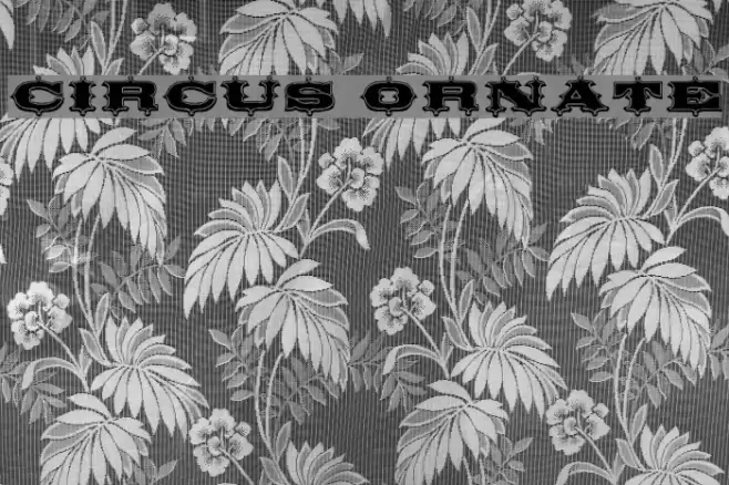 Circus Ornate Fuentes examples