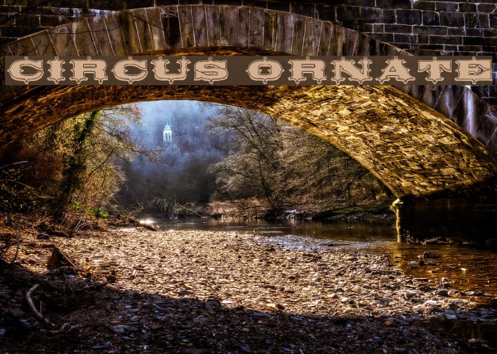 Circus Ornate Fuentes examples