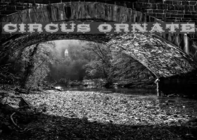 Circus Ornate Fuentes examples