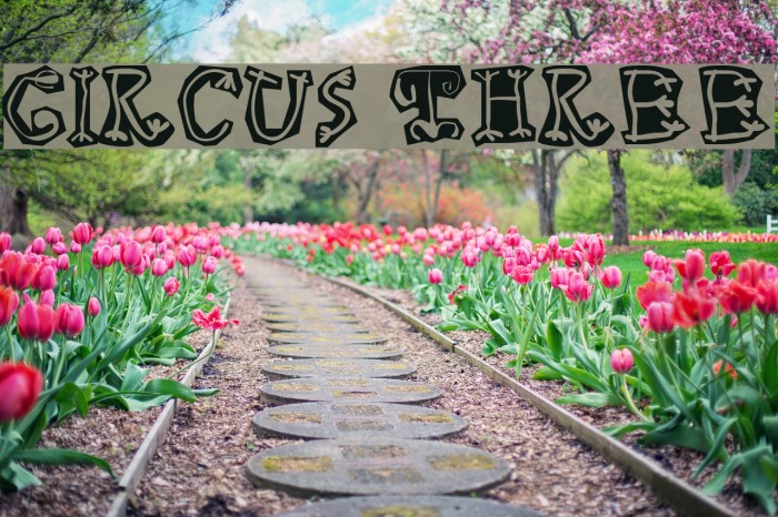 Circus Three Font examples