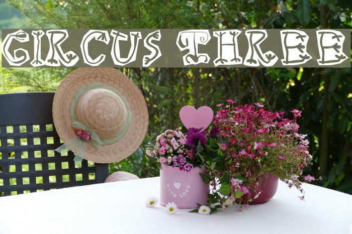 Circus Three Font examples