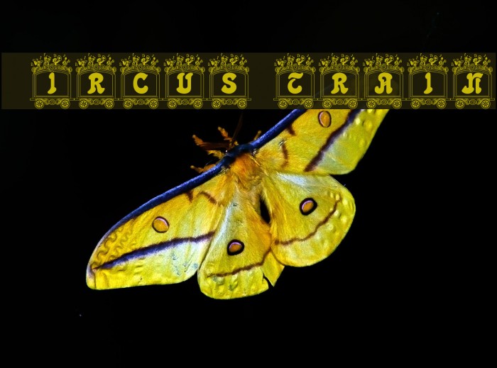 Circus train Font examples