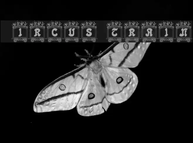 Circus train Шрифта examples