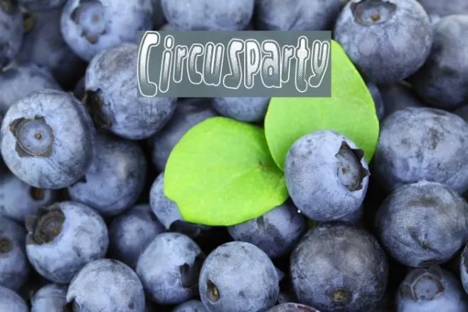 CircusParty Example 3