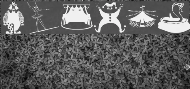 Circus Шрифта examples