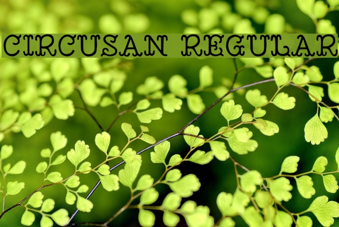 Circusan Regular Шрифта examples