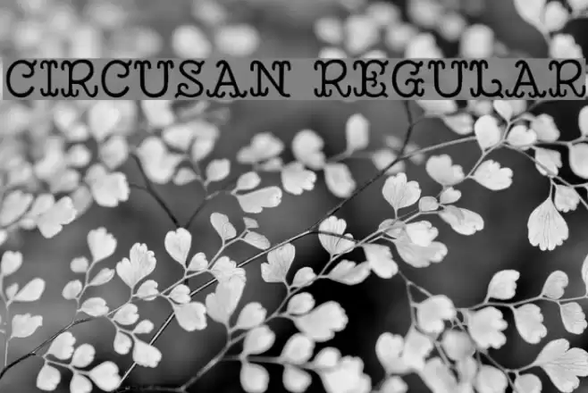 Circusan Regular Font examples