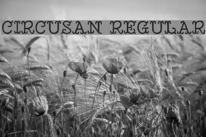 Circusan Regular Font examples