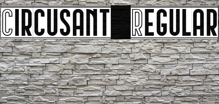 Circusant Regular Font examples
