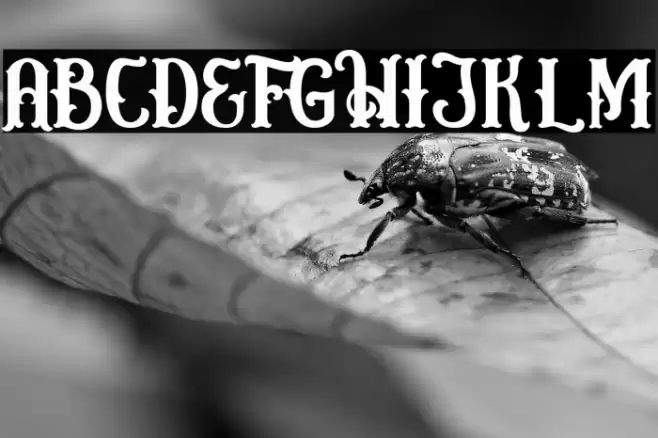 Circusia Regular Font examples