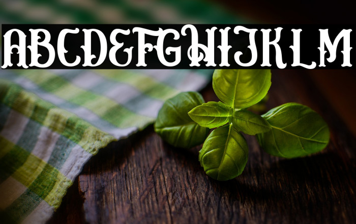 Circusia Regular Example 2