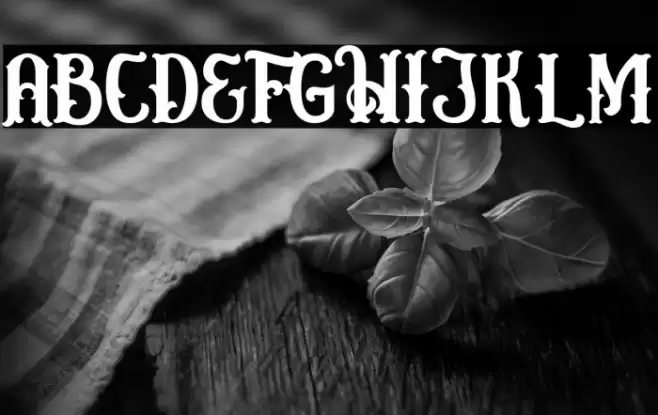 Circusia Regular Font examples