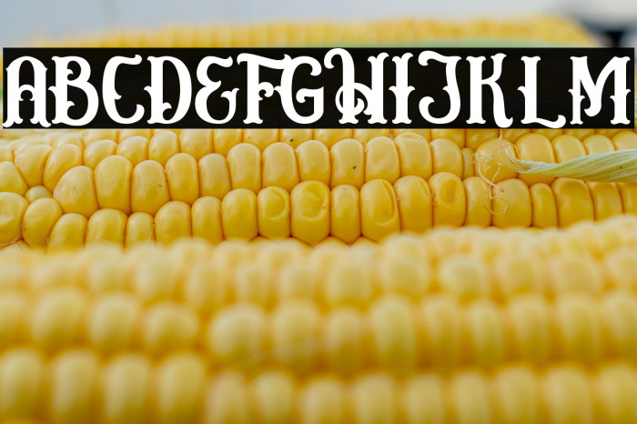 Circusia Regular Example 3