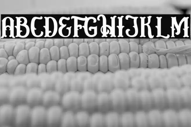 Circusia Regular Font examples