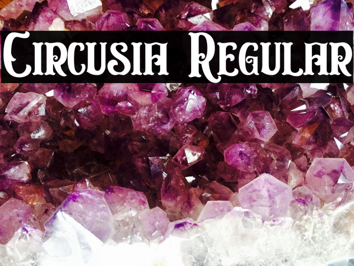 Circusia Regular Font examples