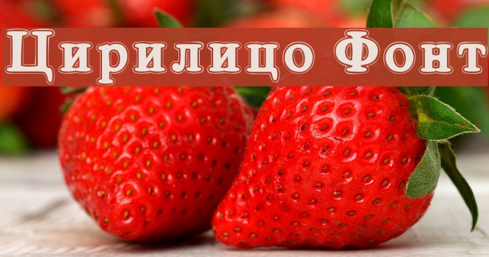 Cirilico Font Font examples